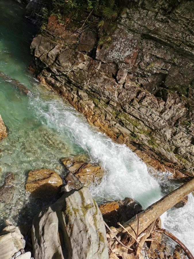 Ferienwohnung Nest Wangen im Allgäu Exteriör bild