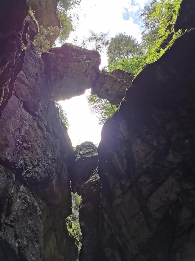 Ferienwohnung Nest Wangen im Allgäu Exteriör bild